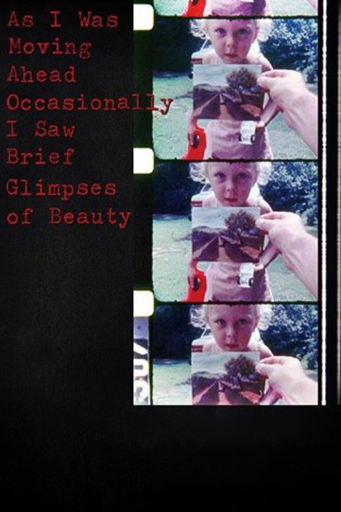 As I Was Moving Ahead Occasionally I Saw Brief Glimpses of Beauty (2000) [47178] (A1767940336) [[Movies]] --Plex--